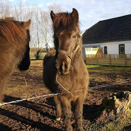 Hyggelig Lejlighed Taet Pa Grundfos * Bjerringbro