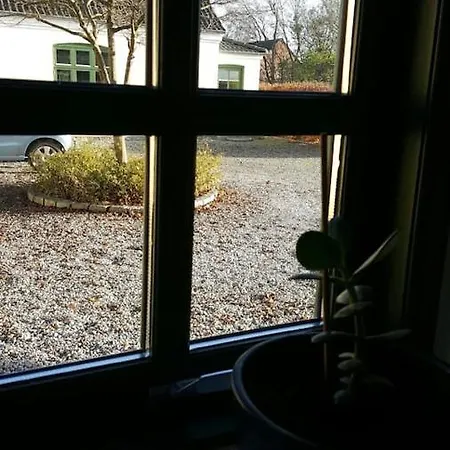 Hyggelig Lejlighed Taet Pa Grundfos Bjerringbro