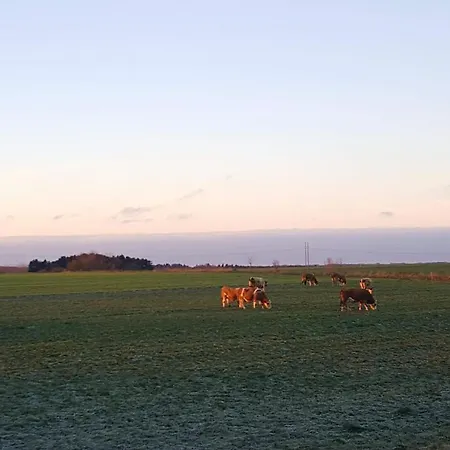 Hyggelig Lejlighed Taet Pa Grundfos